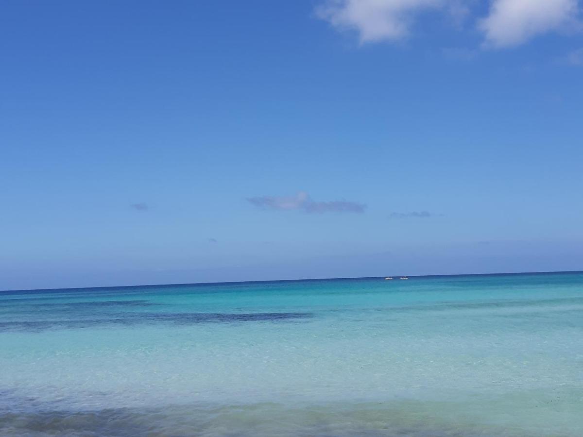 Finestra Azzurra Apartment San Vito Lo Capo Bagian luar foto